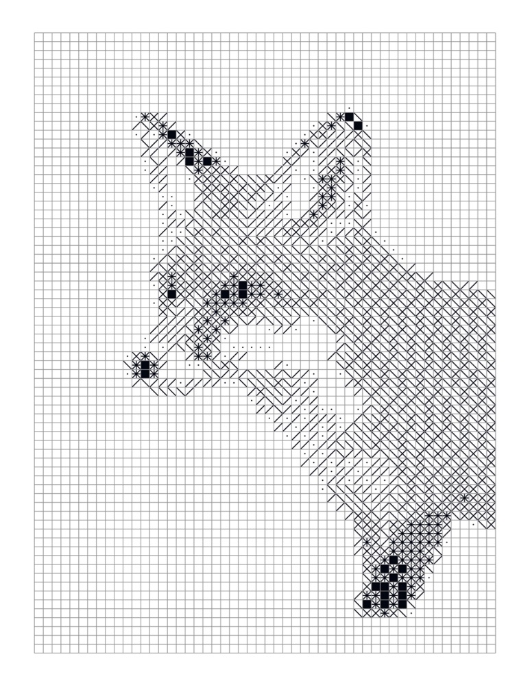 Wild Forest puzzle 2, solved